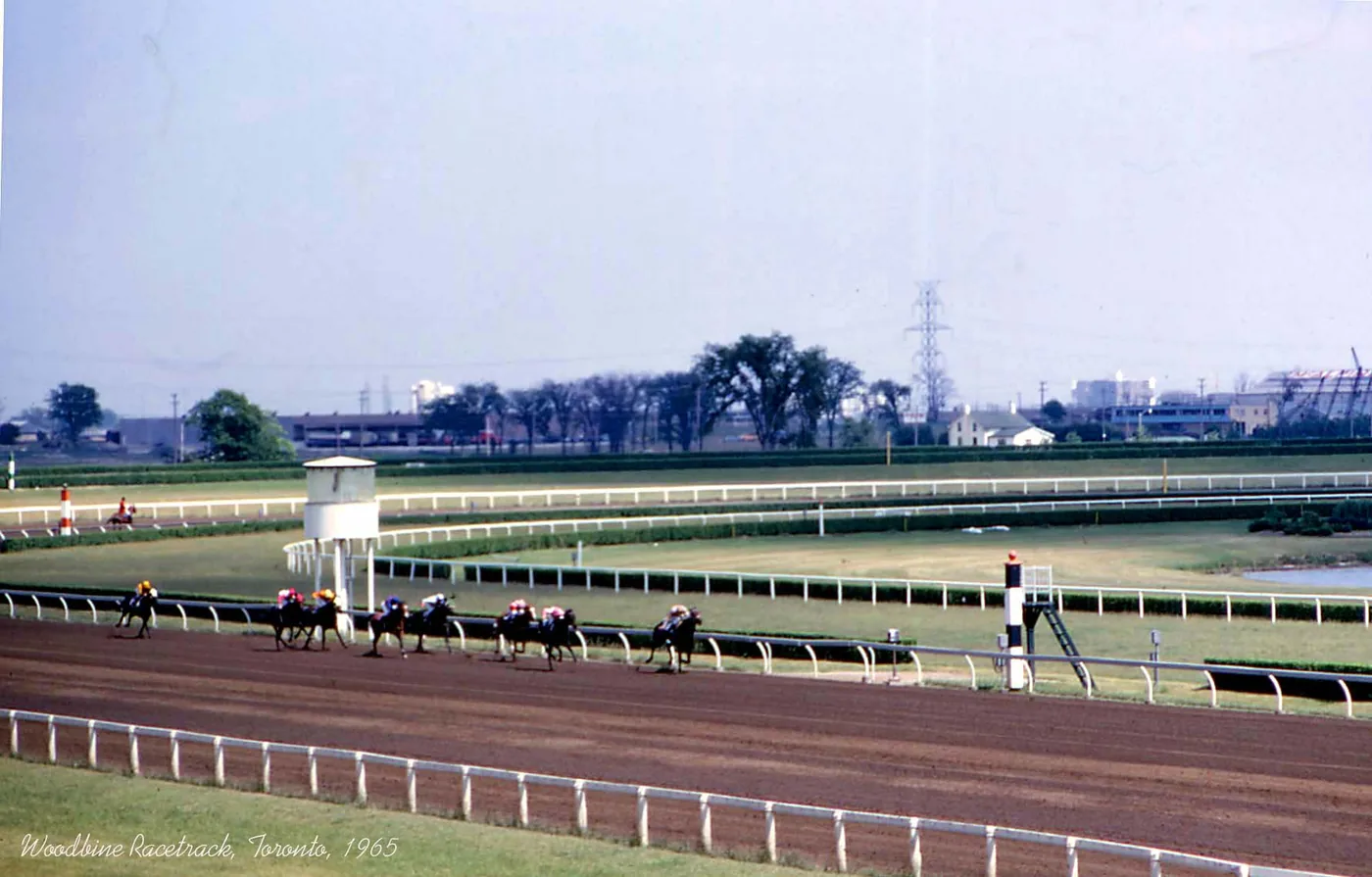 Archival colour photograph of horses racing at Woodbine Racetrack in 1965