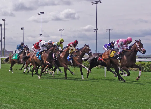 The E.P. Taylor Turf Course at Woodbine Racetrack