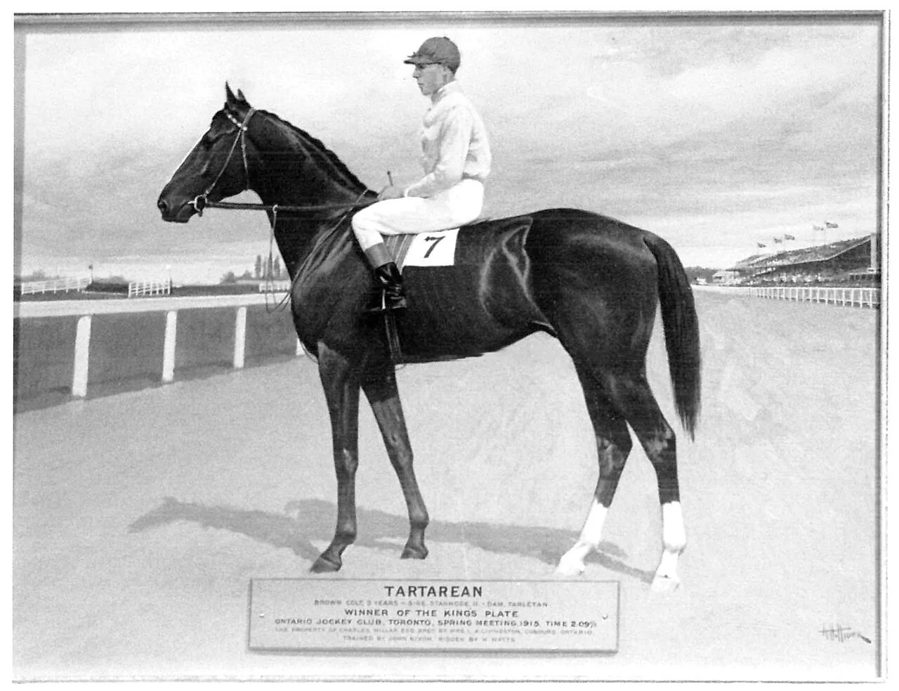Illustrated portrait of the racehorse Tartarean with jockey Harry Watts, winner of the 1915 King's Plate at Woodbine