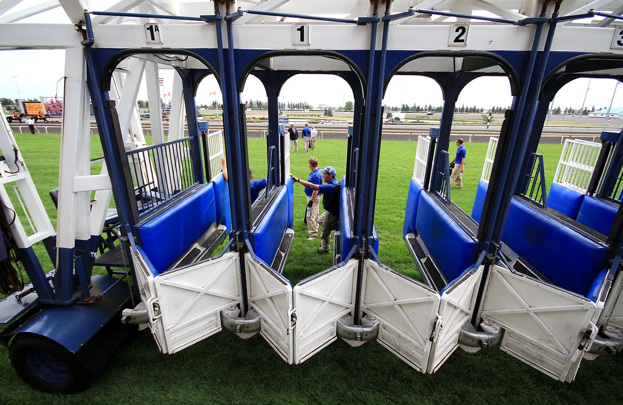 The starting gate on the turf course at Woodbine Racetrack, with track staff preparing it before a race